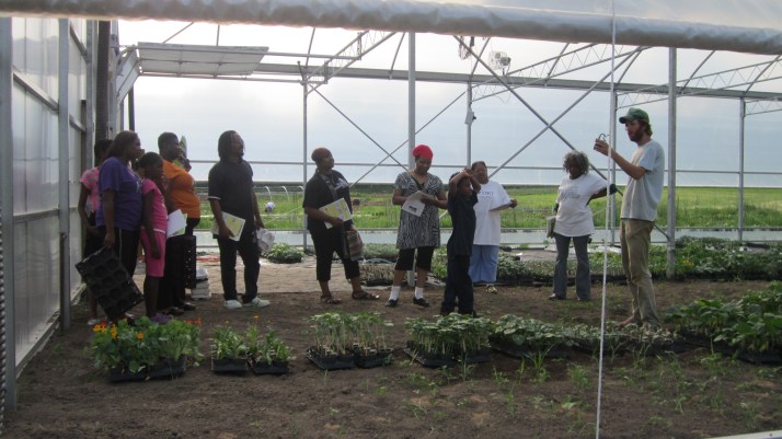 Gardeners picking up organic starter food plants from the greenhouse.