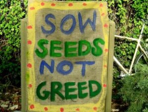 storyimages_1323208706_img3894