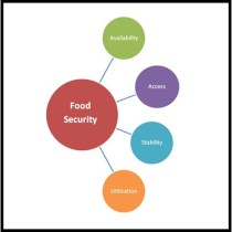 fs-food-security