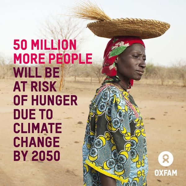 5d1dce30fb378b552fdbf4cce77b91fd