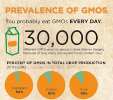 gmos