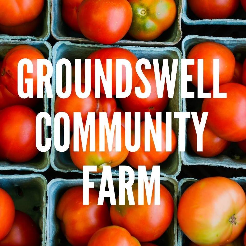 17342755_10154163405065672_714827527404130163_n