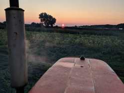 39926334_10155377238270672_5485237973651816448_o