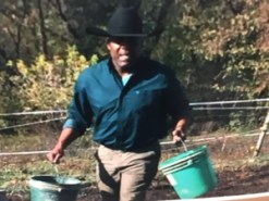 bruce michael wilson